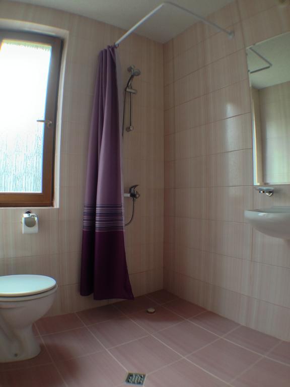 Mala Planina Guest House Iskrets Номер фото