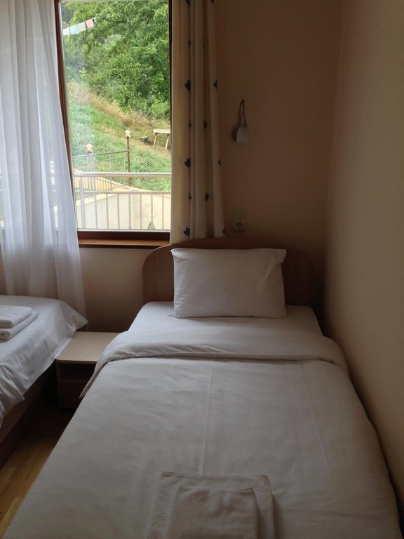 Mala Planina Guest House Iskrets Номер фото